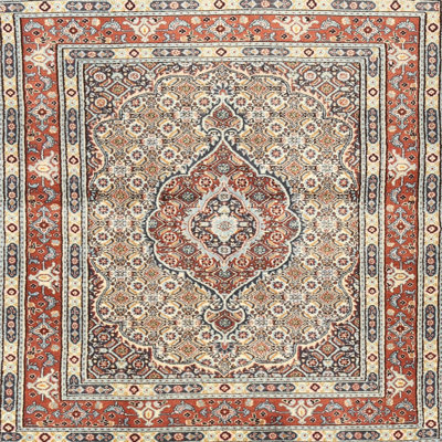 Oriental Indoor Rug