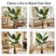 Fausse plante palmier de voyage-846183084