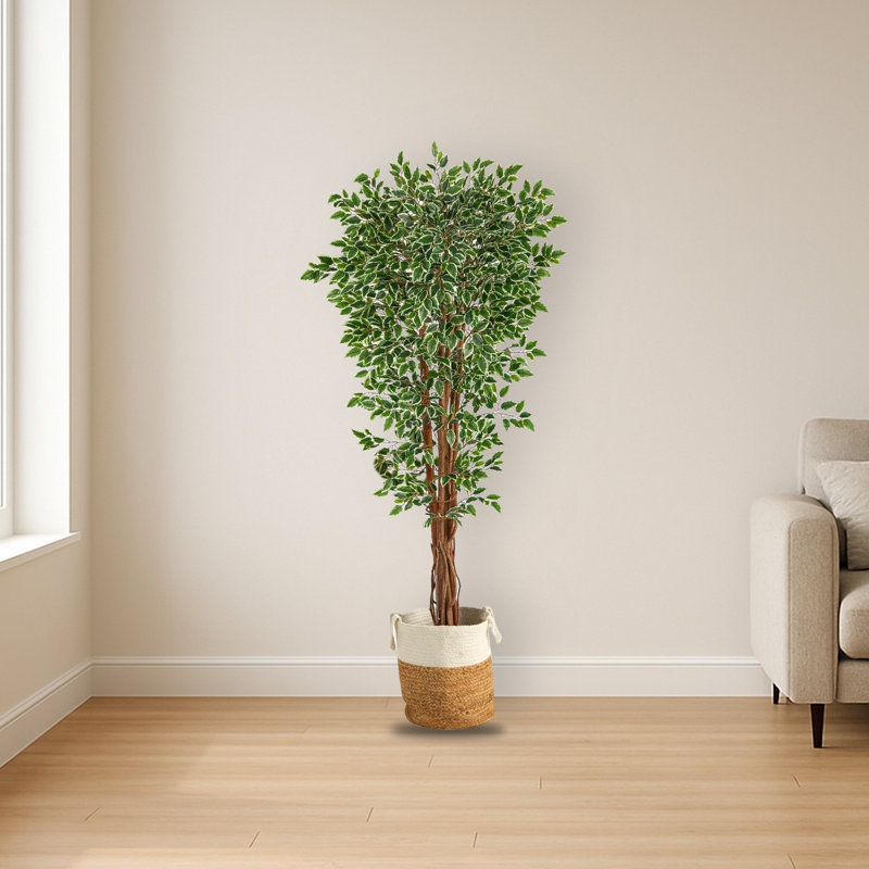 Variegated Ficus Artificial Tree in Jute Planter