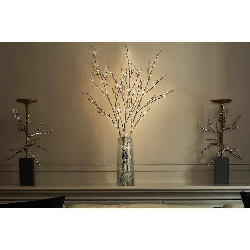 Illuminated willow branches