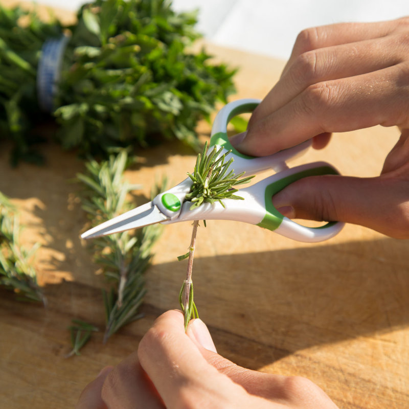 Zyliss Herb Snippers