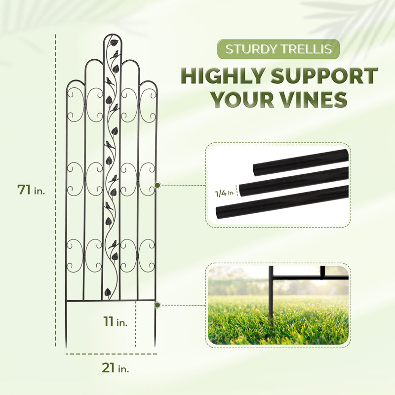 Serafina 71" H x 21" W Trellis