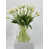 White/Green
