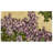 Lilac Outdoor Doormat