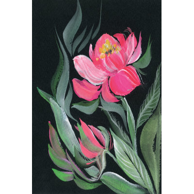 Pivoine sur fond noir par Kristy riz