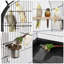 150cm Iron Play Top Floor Bird Cage with Wheels
