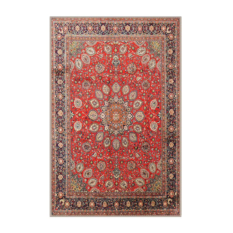 Cienna Oriental Indoor Rug, Rectangle 4' x 6'