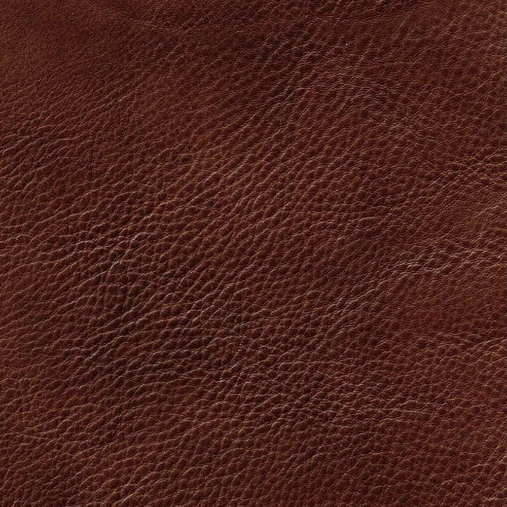 Maybell 58" Genuine Leather Loveseat, Red