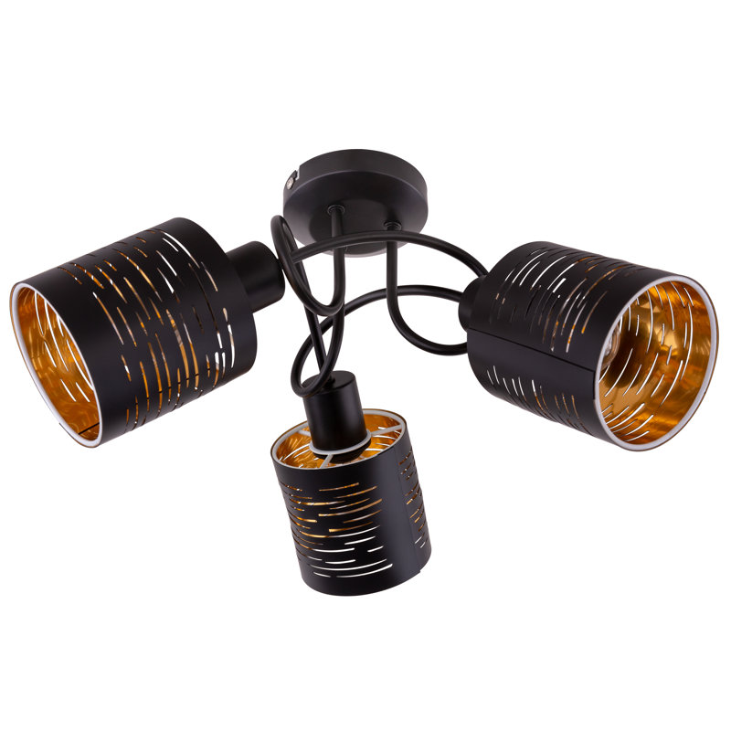 Ravenna Spotlight