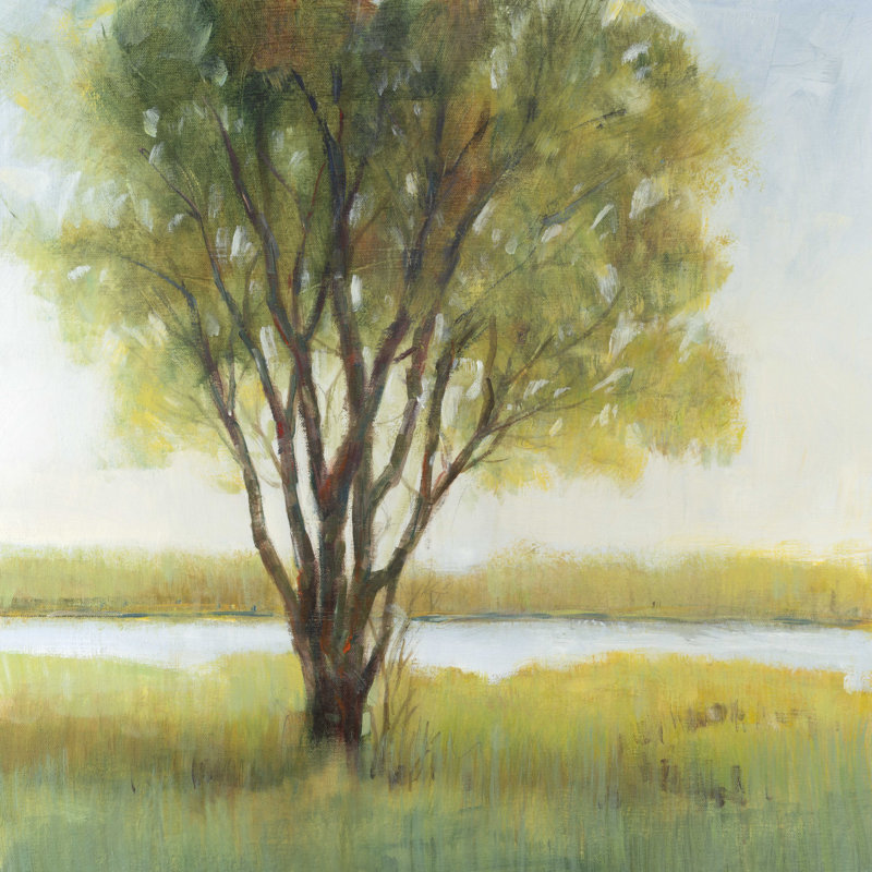 «Shade Tree I» par Tim Otoole - reproduction sur toile tendue, H 36 po x l 36 po x P 1,25 po