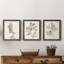 Neutral Botanical Study I - Ensemble de 3 reproductions d'art sur toile-1870357601-1870357657