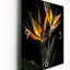 Birds Of Paradise Flowers I - Horloge murale florale-99629614