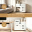 77 cm W 5 -Drawer Wheels / Casters included Mobile Filing Cabinet