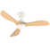 42" 3 - Blade Small Room Ceiling Fan with LED Light and Remote