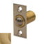 Adjustable Ball Catch for Door-1489981662