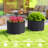 Steel Raised Beds for Garden Set of 2, Dark Grey-770617152-770617164