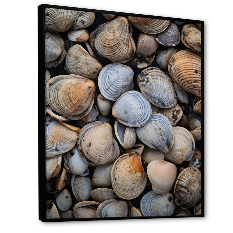 «Lakari Grey Clam Coastal Harmony IV», reproduction sur toile, H 32 po x l 16 po x P 1 po, Cadre flottant noir