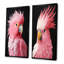Perroquet rose au paradis I - ensemble de 2 impressions sur toile perroquet-102578169-102578165
