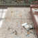 Maiorano Oriental Light Gray/Cream Area Rug