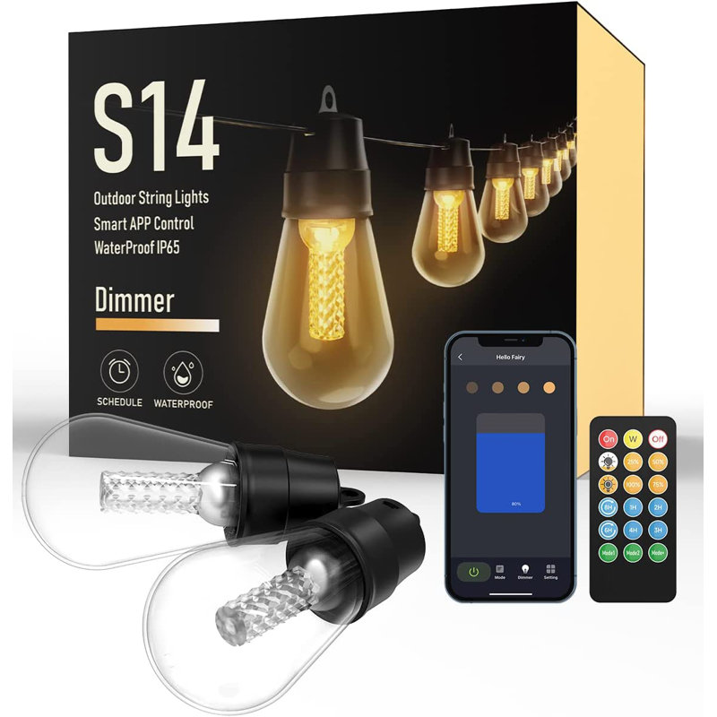 25 Light String Lighting