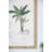 15.5" X 23.5" S/2 Tree Framed Print