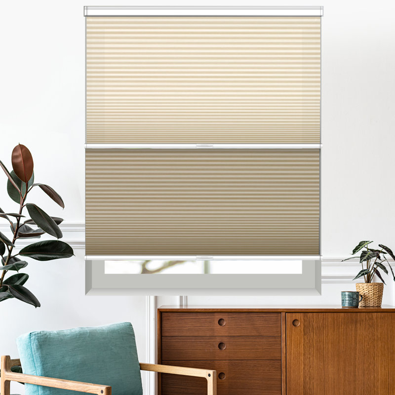 Chainless Day and Night Cellular Shade, Beige, L 41 po x L 48 po