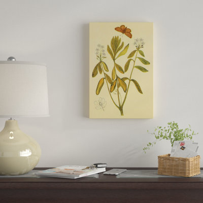 «Labrador Tea», reproduction sur toile