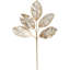 Glittered Magnolia Spray - 22 Inches Set Of 12
