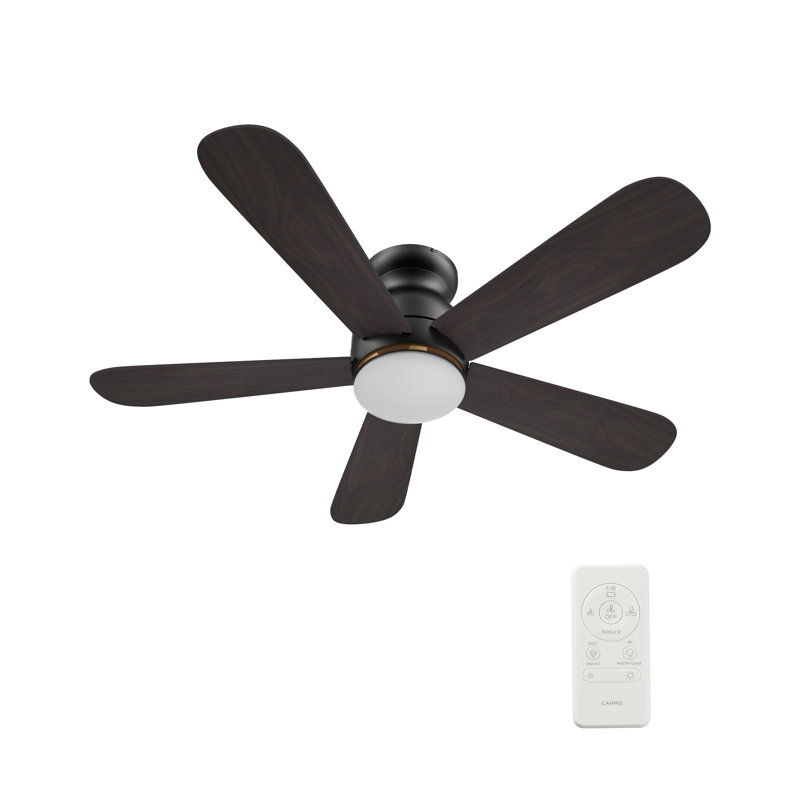 Dubois Smart Ceiling Fan with Remote, Light Kit Included,Works with Google Assistant and Amazon Alexa,Siri Shortcut., 230 RPM