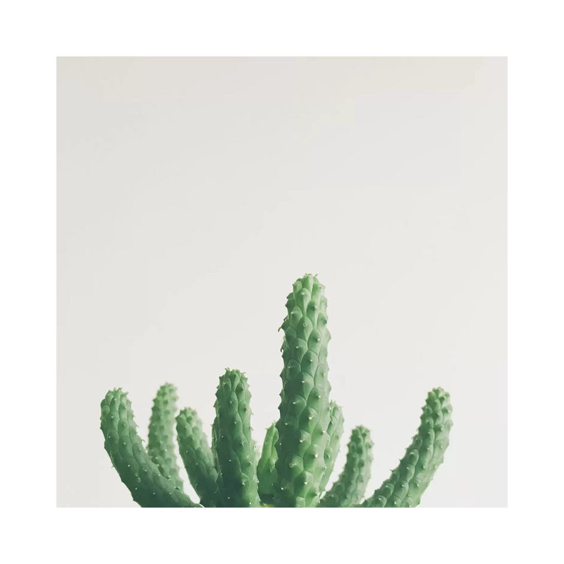 Green Fingers by Cassia Beck - Wrapped Canvas Gallery-Wrapped Canvas Giclée, 66.04 cm H x 66.04 cm W x 3.175 cm D