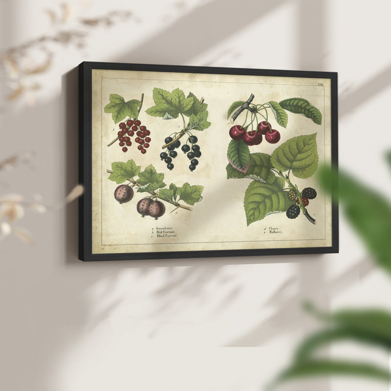 «Kitchen Fruits III», reproduction encadrée, H 8 po x l 10 po, Noir, noir, noir, noir