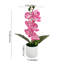  Fleurs artificielles artificielles pour la décoration intérieure Phalaenopsis artificiel en pot avec 7 fleurs-128926874