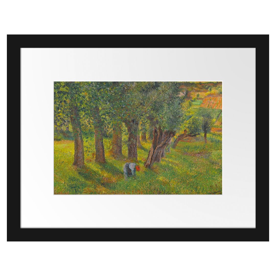 Gerahmter Kunstdruck Le Chou À Pontoise von Camille Pissarro