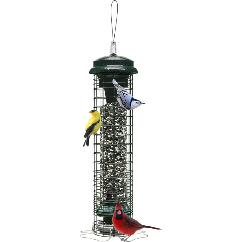 Brome Squirrel Solution Squirrel-Proof Bird Feeder, 2.6lbs Seed Capacity, Green