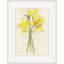 Daffodils 2 Print by Claudia Lowry-170125974