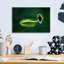 «Vine Snake» par Thomas Haney-1086464198