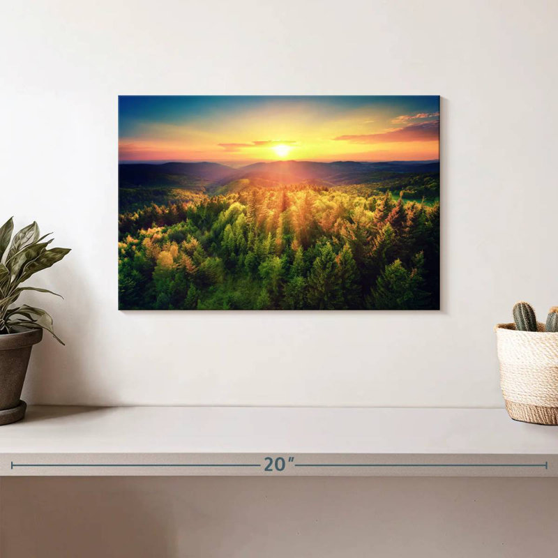 Scenic Forest At Sunset