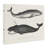 Vintage Whale Study Diagrams Canvas, design by Phillipa Katz-1876569145