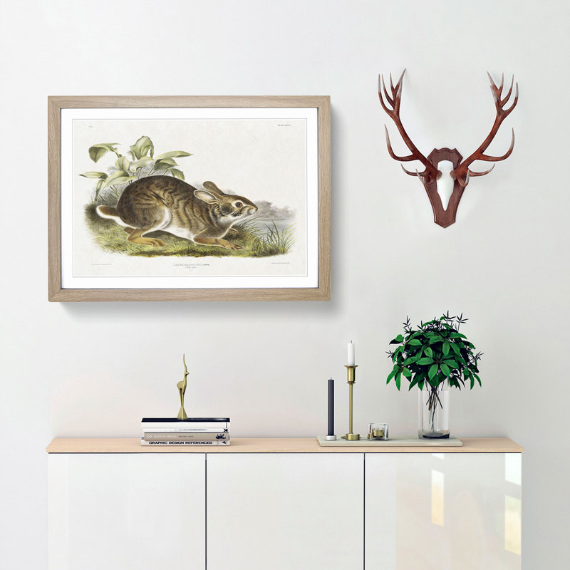 Swamp Hare by J.W. Audubon - Picture Frame Art Prints, 27cm H x 36cm W x 2cm D, Oak Framed