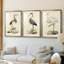Antique Heron I - reproduction sur mesure encadrée de qualité supérieure - 3 pièces-489892128