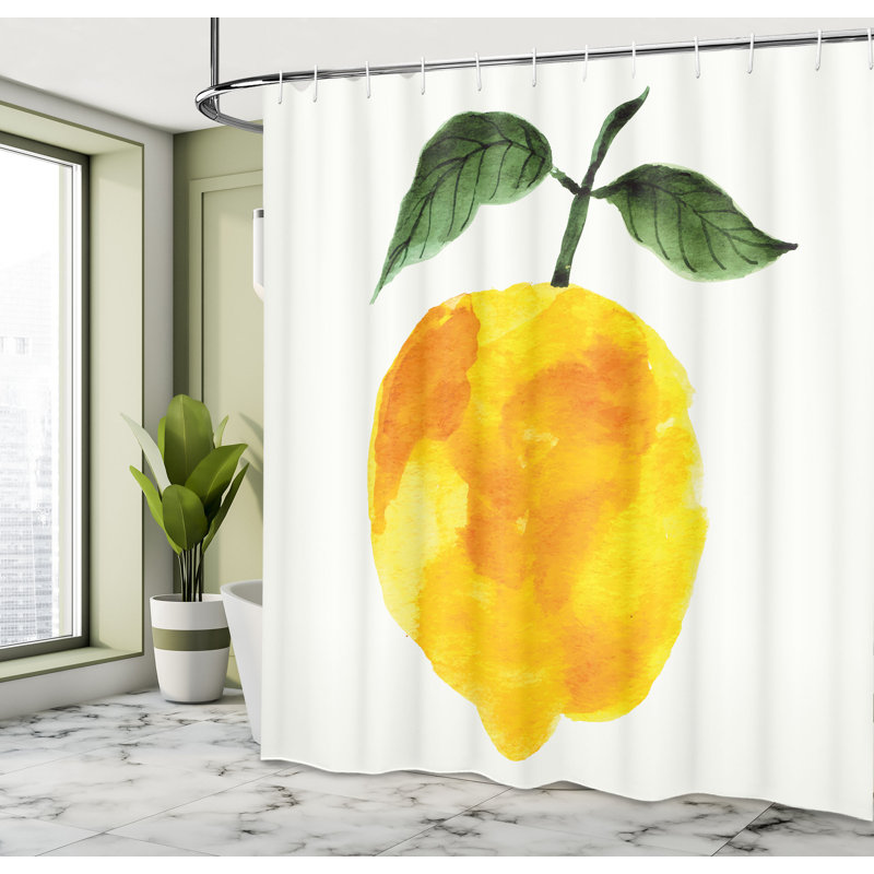 Ensemble de rideau de douche + crochets, H 69 po x l 105 po