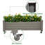 Raised Garden Bed - Garden Planters Box With Wheels-604504925