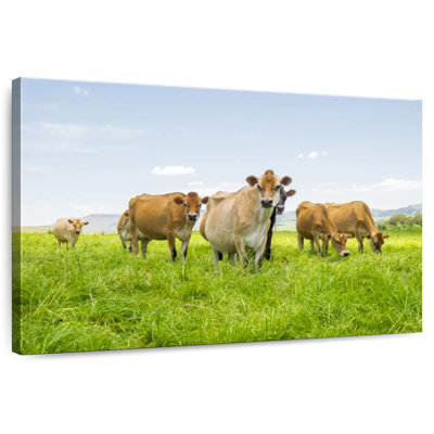Bétail de ferme