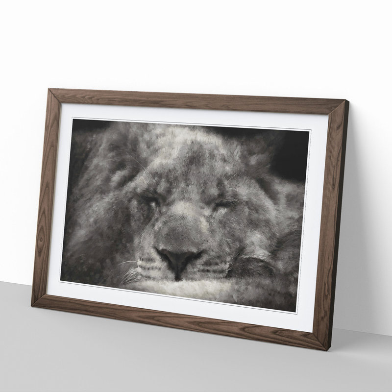 Lion Vol.2 - Picture Frame Graphic Art, 27cm H x 36cm W x 2cm D, Walnut Framed