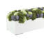 Sedum and Thistle Arranged in Rectangular Planter