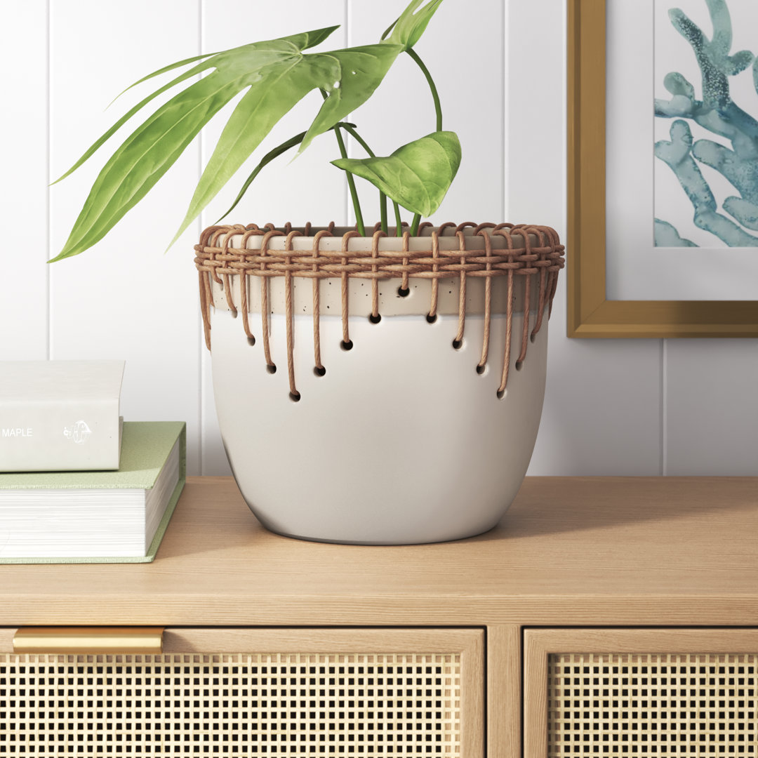 Galiena Handmade Ceramic Planter Beachcrest Home™