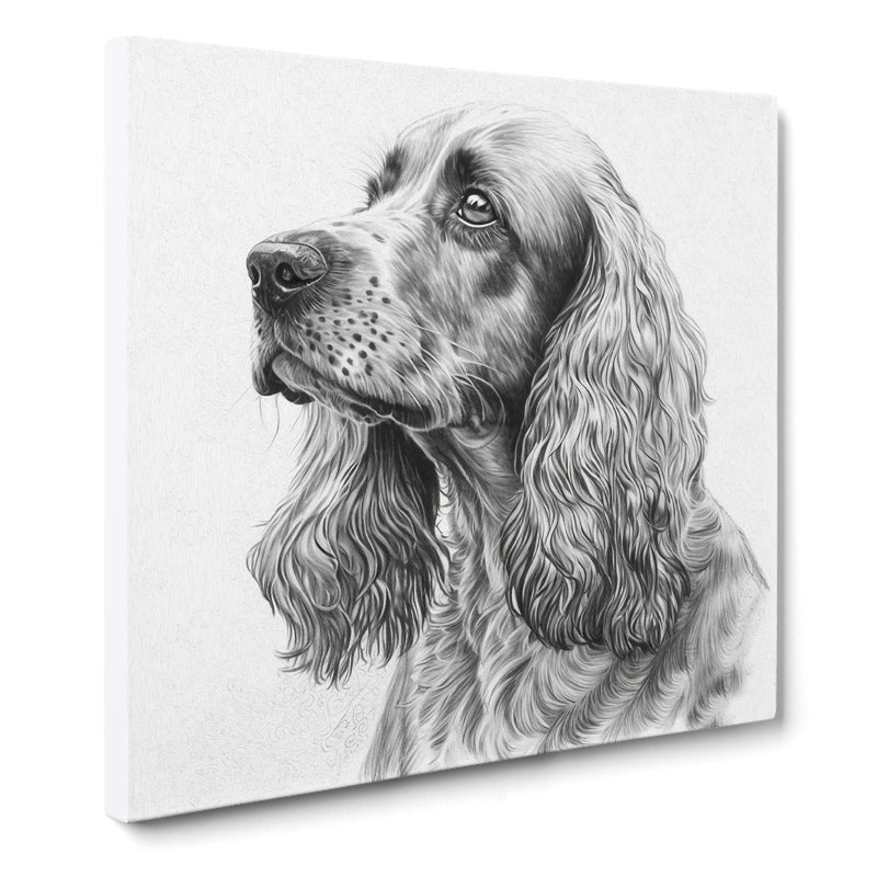 Cocker Spaniel Drawing - Wrapped Canvas