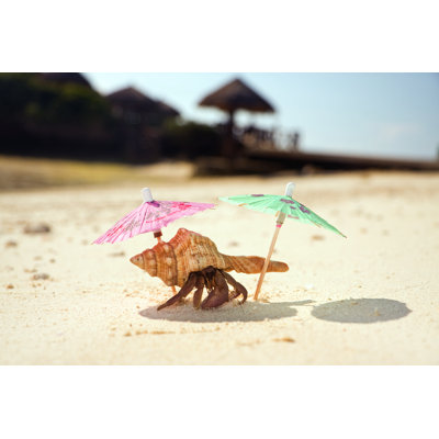 «Hermit Crab Beach» par Robertkacpura - Photographie sur toile tendue