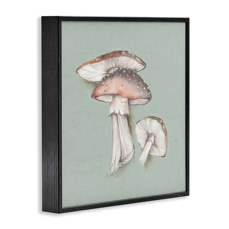 «Mushroom Bunch», art de la giclée encadrée par Eli Jones, Giclée encadrée noir minuit, H 24 po x l 24 po