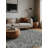 Machine Washable Gray Area Rug-258300130